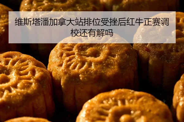 维斯塔潘加拿大站排位受挫后红牛正赛调校还有解吗