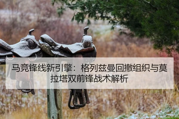 ma-jing-feng-xian-xin-yin-qing-ge-lie-zi-man-hui-che-zu-zhi-yu-mo-la-ta-shuang-qian-feng-zhan-shu-jie-xi-2-685.jpg